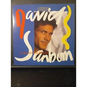 David Sanborn-A Change Of The Heart -Promotional -Vinyl - Excellence Condition